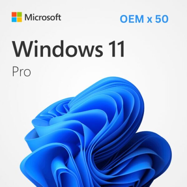 Windows 11 Pro OEM (BULK 50 KEYS)
