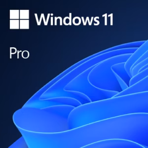 Windows 11 Pro Retail