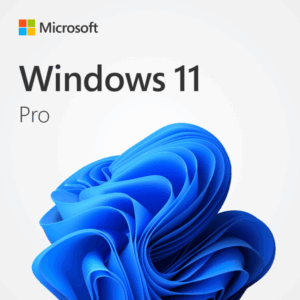 Windows 11 Pro OEM