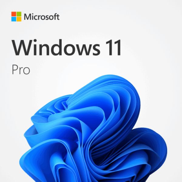 Windows 11 Pro OEM