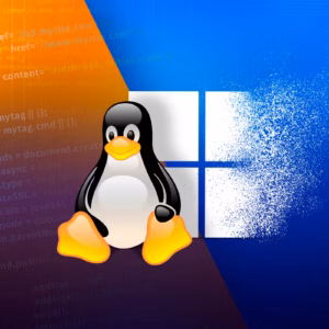 Install Windows on any Linux VPS